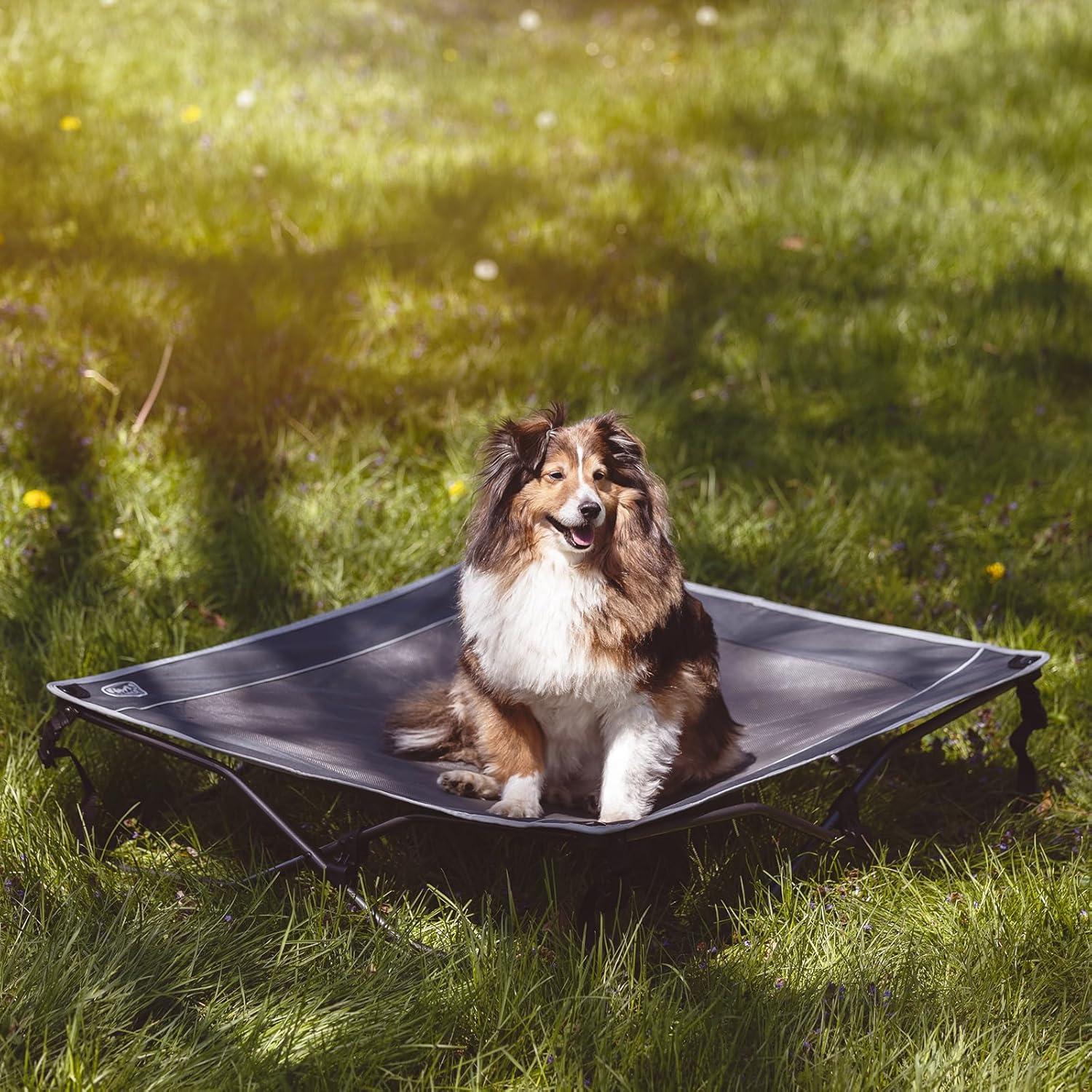 imageTIMBER RIDGE Outdoor Dog Bed Cooling Elevated Pet Bed Portable Raised Dog Bed with Breathable Mesh Dog Bed Foldable Dog Cot for Indoor ampamp Outside GreyBreathable Mesh