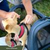 imageTIMBER RIDGE Airline Ready TSA Compliant Carrier for Dogs Cats Puppies 2Sided Entry with Fleece BedSize154quotX114quotX118quotThreesided Mesh