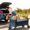 imageTimber Ridge 49 Extra Long Collapsible Folding Wagon with Tailgate and Brakes 300lbs Heavy Duty Foldable Wagon with Adjustable Handle 250L Capacity Portable Cart for Outdoor Camping Sports GreenBlue